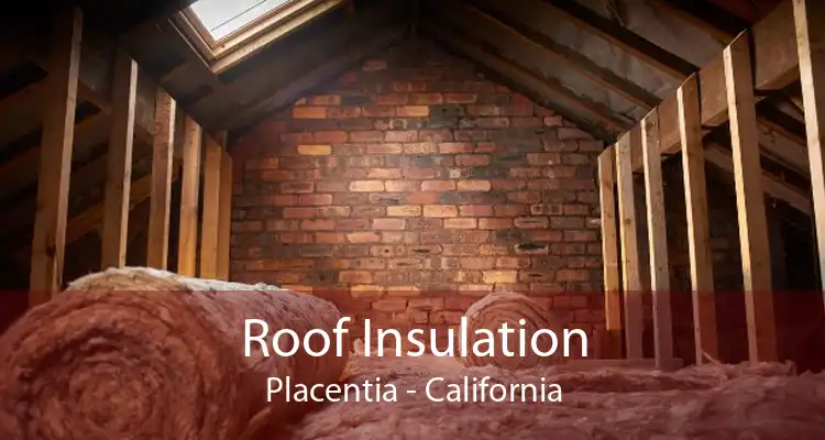 Roof Insulation Placentia - California